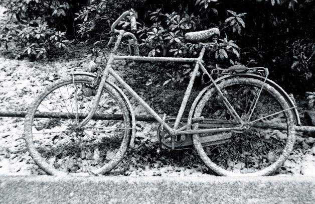 Third slide image